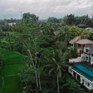 River Sakti - Ubud - Image 4