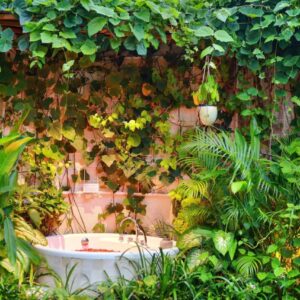Sini Vie Villa - Seminyak - Image 2